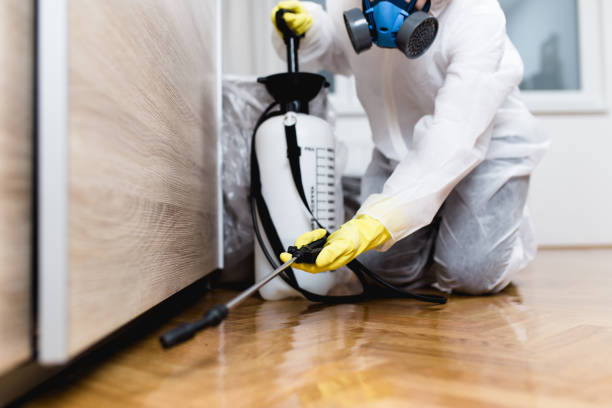 Best Mosquito Control Services  in Syracuse, NE