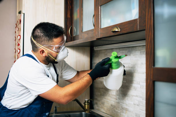 Best Rat Extermination Near Me  in Syracuse, NE
