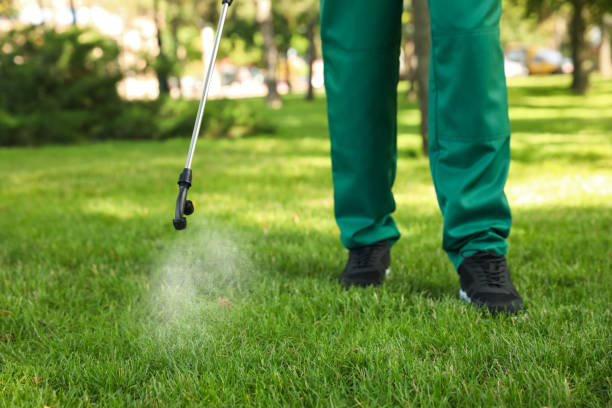 Best Emergency Pest Control  in Syracuse, NE