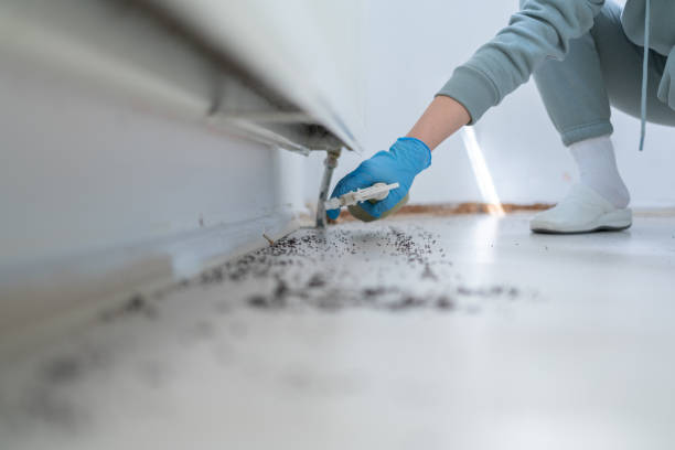 Best Pest Inspection Near Me  in Syracuse, NE